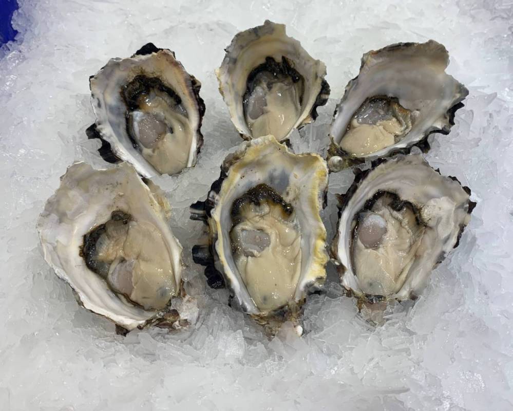 Sydney Rock Oysters Rosedale Butchers